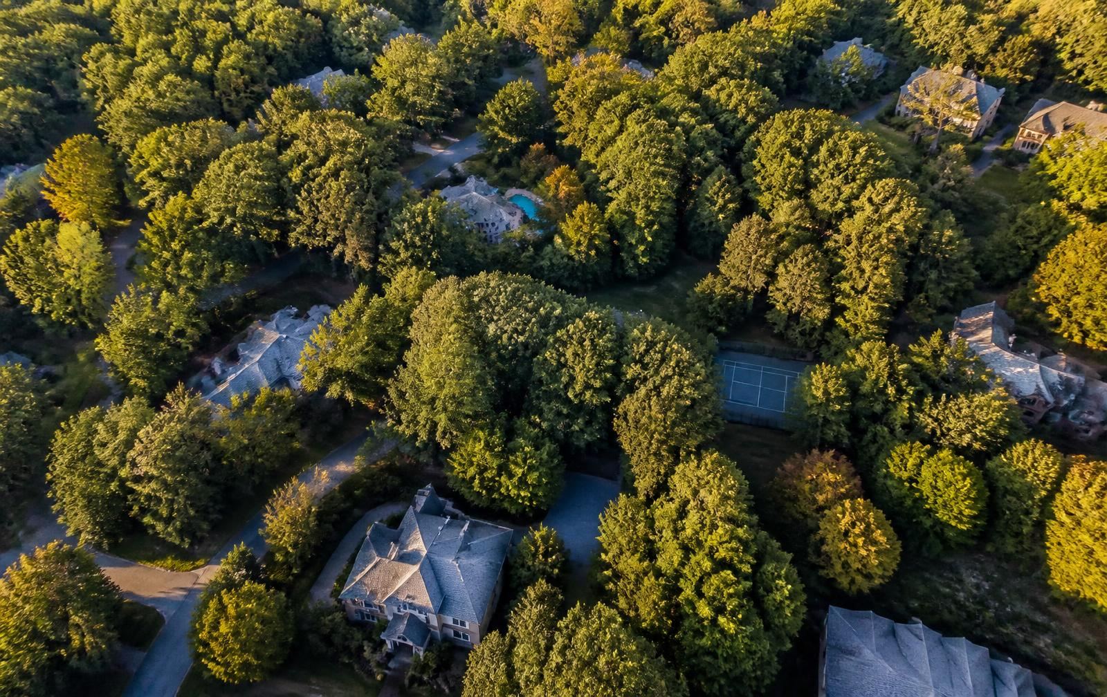 Aerial view of an affluent wooded Charlotte neighborhood with slate roofs under oak canopy