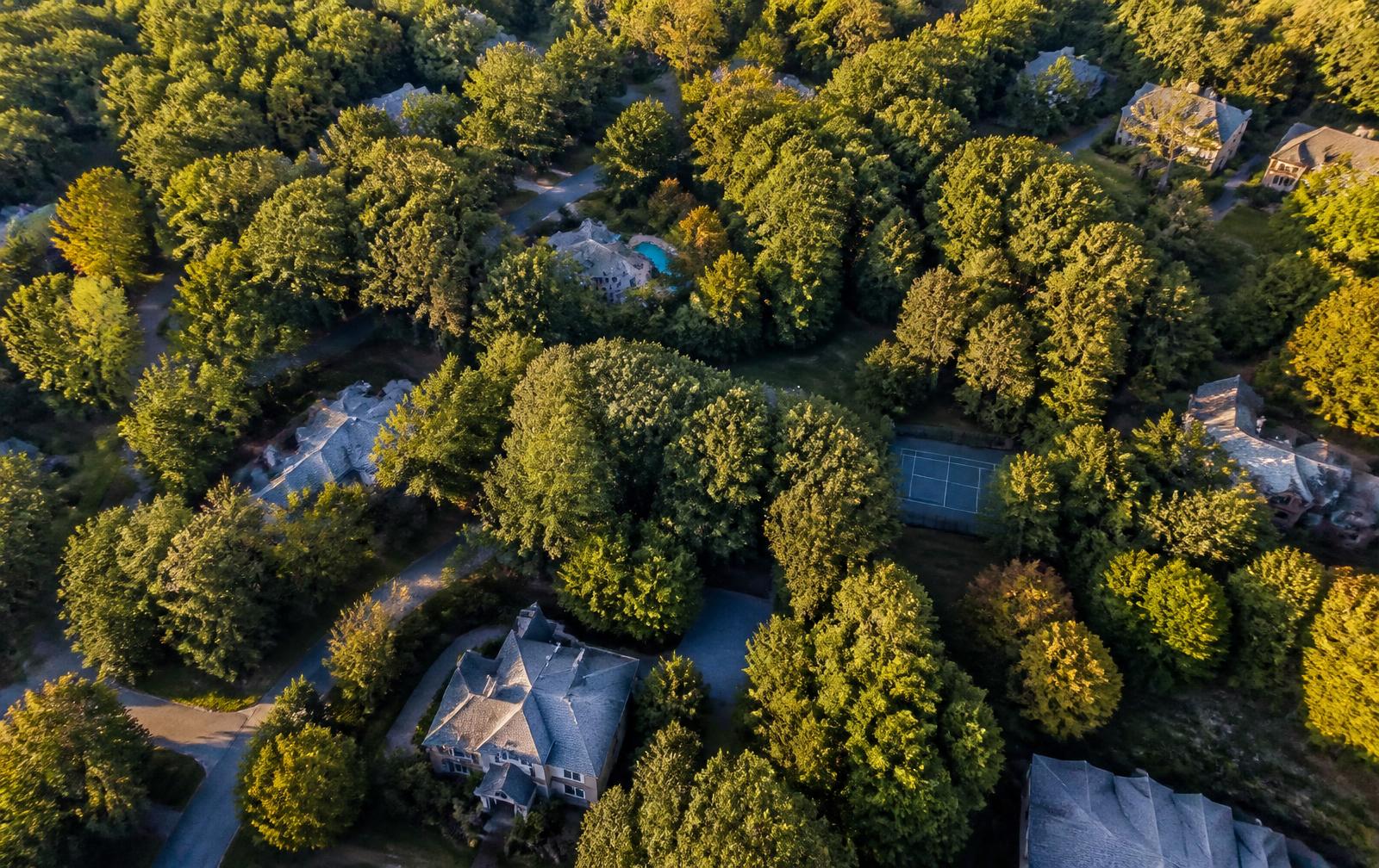 Aerial view of an affluent wooded Charlotte neighborhood with slate roofs under oak canopy